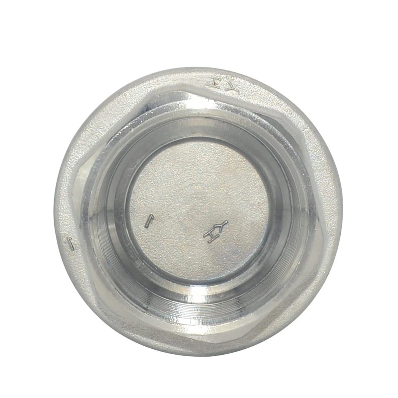Dsmpipeft NPT Female WOG1000 Check Valve,Vertical Check Valve,NPT Spring Loaded
