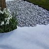 EraGreen Lawn Edging 4.5 cm x 1 m – Plastic