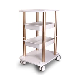 Utility Rolling Cart Storage 4 Tier Beauty Rolling Trolley Cart Equipment 360° Caster Mobile Salon Spa Service Instrument Hairdressing Storage Tray Rolling Cart