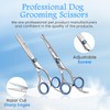 Dog Grooming Scissors Set with Safety Round Tip, Curved Pet