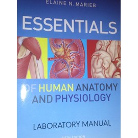 Essentials of Human Anatomy & Physiology