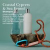 Molton Brown Coastal Cypress & Sea Fennel Shampoo 300 ml