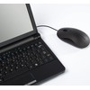 Targus 3-Button USB Full-Size Optical Mouse with 6-Foot USB Cord,