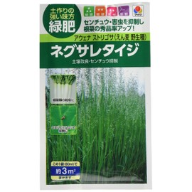 Takii Seed Company Negusaretaiji