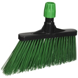 The Briantina sco03924 a High angle broom Garden