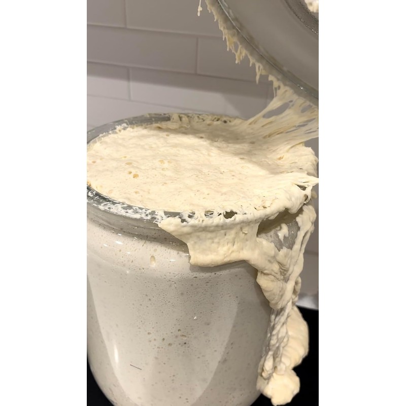 Dehydrated Sourdough Starter by Made With Loave | INCLUDES Recipe