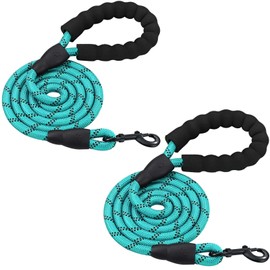 PETESCORT Dog Leashes for Large Medium and Small Dogs,Laisse Pour Chien with Comfortable Padded Handle,Heavy Duty Dog Leads(1/2in x 6Ft,Turquoise and Turquoise(2-Pack))