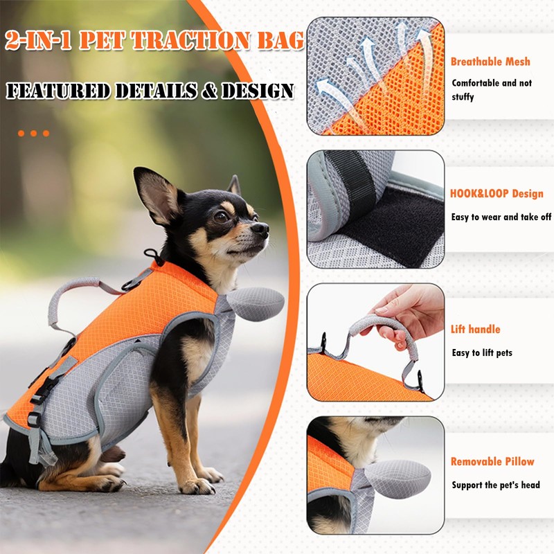 BAMY 2 in 1 Cat Shoulder Carrier, Outdoor Small Dog