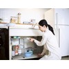 COGIT Power Bio Mold and Deodorizing Under Sink Mold and