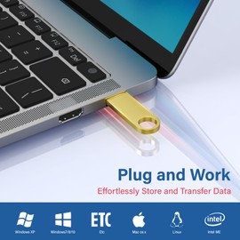 8GB USB Flash Drive 2 Pack with Keychains, Wooolken Sleek Metal USB 2.0 Thumb Drives Memory Stick for PC Laptop Computer