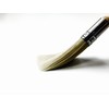 Corona Excalibur 2" Chinex Professional Brush