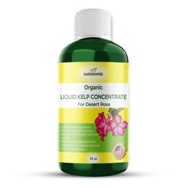 GARDENWISE Liquid Kelp Fertilizer for Desert Rose - Plant Food for Adenium & Desert Plants - Organic Seaweed Fertilizer for Robust Growth and Blooms (32 OZ)