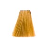 Goldwell Topchic Hair Colour Golden Blonde 8/G 60 ml