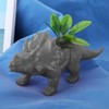 Simlug Animal Flower Pot, Triceratops Shaped Cactus Succulent Planter Pot
