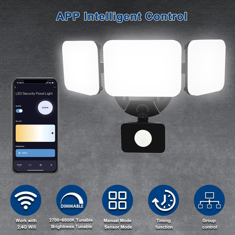 EMANER Smart Security Light Motion Sensor, Compatible with Alexa/Google Home,