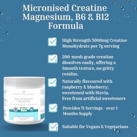 Micronised Creatine Plus Magnesium and Vitamin B6 & B12 Formula | Clean, Vegan-Friendly Naturally Flavoured Raspberry-Blueberry Taste | Energy, Strength, Recovery & Performance Support