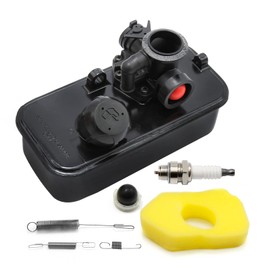 Fuel Tank Carburetor 698369 Air Filter Replacement for Briggs & Stratton 494406 498809A 795469 794147 699660 794161 498811 Carb, with Spark Plug Springs