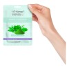 Mascarilla Piel Sense Facial Coreana