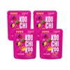 Koochikoo Sugar Free Lollipops Pouch, Assorted Fruit Flavors, No Sugar