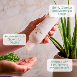 Aurea Aloe Vera Shampoo - Moisturizes And Soothes Hair Fibres - Restores Volume To Your Hair - Accelerates Hair Growth - Respects The Natural pH - Suitable For All Hair Types - 8.4 Oz
