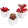 MyGift Assorted Artificial Red Succulent Plants, Mini Fake Desert Plants
