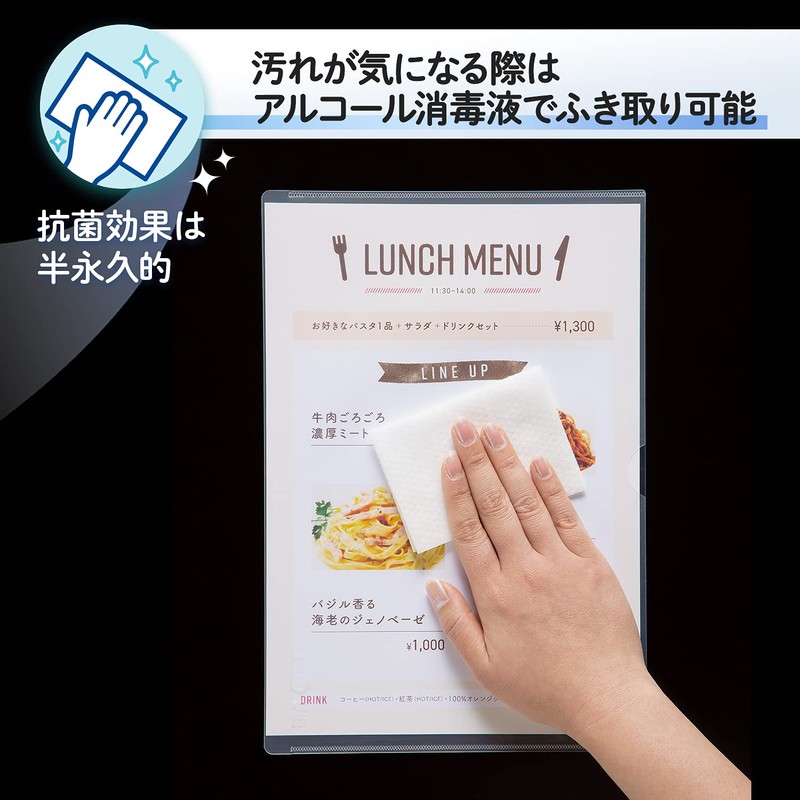 Plus Card Case, Antibacterial Card Case, Semi-Hard Type A4, Pack