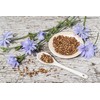 Health Embassy Chicory Root | Cichorium L | Herbal Tea