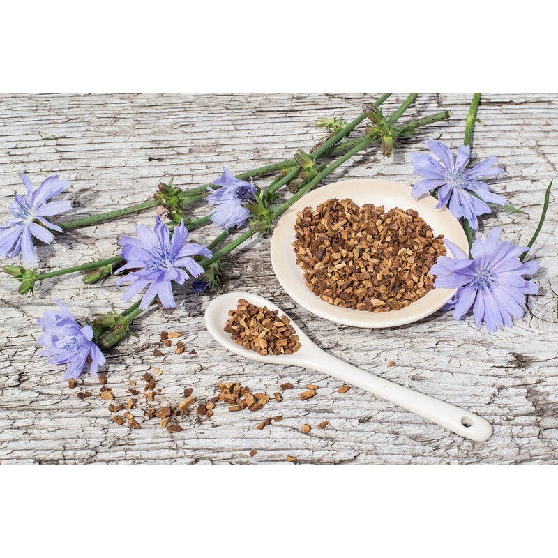 Health Embassy Chicory Root | Cichorium L | Herbal Tea