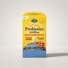 DCN Perfect Probiotics 10 Billion Lactobacillus 60 Tablets 1 ea / DCN 퍼펙트 프로바이오틱스 100억 유산균 60정 1개 1개