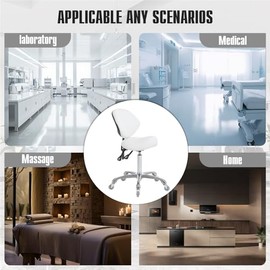 FRNIAMC - Taburete ergonmico con ruedas ajustable, hidrulico de alta resistencia (350 libras) para saln de laboratorio dental, estudio de masaje,...  