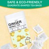 TZTZBOM Ginger Tea Bags - 100% Pure Ginger Root &
