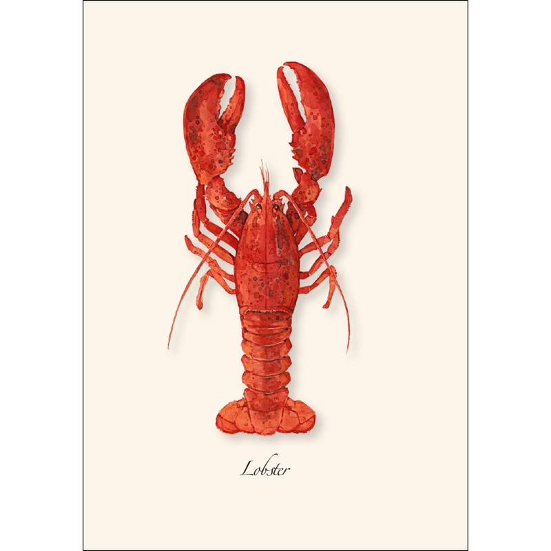 Earth Sky + Water - Lobster Assortment Notecard Set -