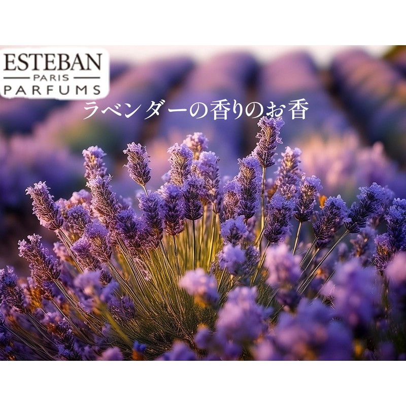 ESTEBAN Esprit De Natural Lavender Sticks 40 Sticks Combines French
