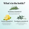 Thieves Myth Essential Oil Blend - Purification Essential Oil Blend