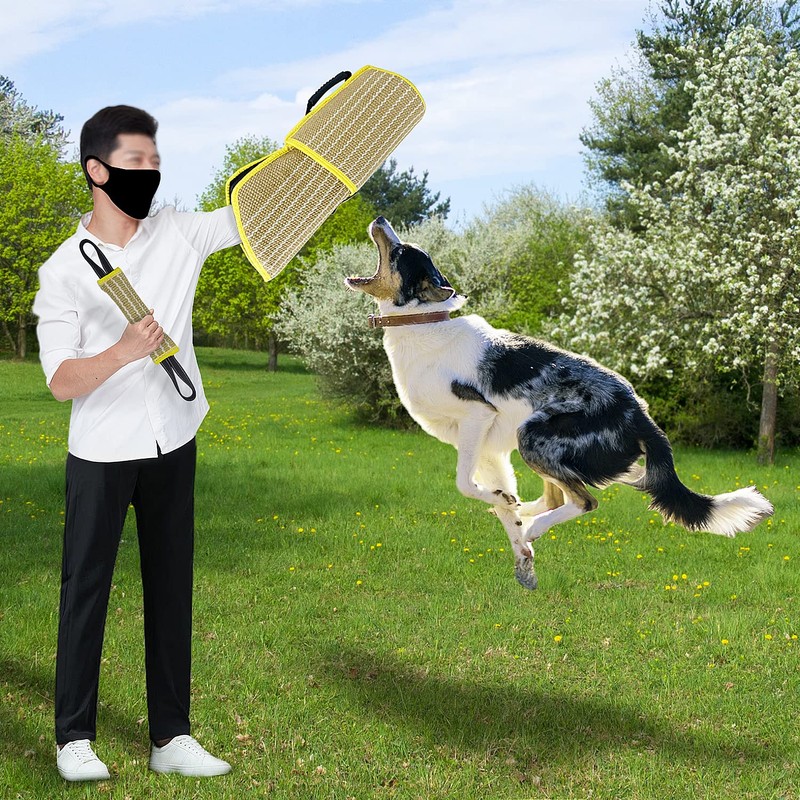 DGSL Dog Bite Training Set - Dog Bite Sleeve, Dog