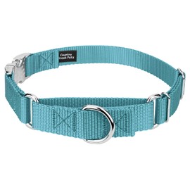 Country Brook Petz - Ocean Blue Heavyduty Nylon Martingale with Premium Buckle - 30+ Vibrant Color Options (1 Inch, Medium)