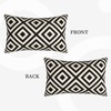 ZYNTIRAX Geometric Striped Throw Pillow Covers Black and White Diagonal