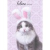 Designer Greetings Feline Festive: Gray and White Cat Wearing Bunny