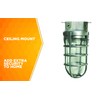 Woods L1706BS Vandal Resistant 150W Incandescent Security Light; Ceiling Mount;