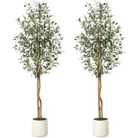 Artificial Olive Trees, 5 Ft Tall Faux Olive Trees with 2 Natural Wood Trunks and Lifelike Fruits, Fake Tree with White Planter, Large Olive Plants for Indoor Home Decor, Set of 2