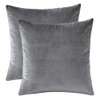 Rythome Set of 2 Comfortable Throw Pillow Cover for Bedding,