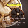 Lipsa C-119-2 Black Garlic Red Ginseng, Approx. 3 Months Worth