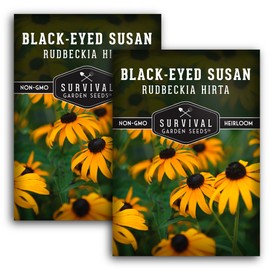 Blackeyed Susan Wildflower Seeds for Planting - 2 Packets with Instructions to Plant and Grow Perennial Flowers in Your Home Garden - Non-GMO Heirloom Variety - Supports Healthy Ecosystems