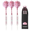 CUESOUL 3pcs/Set Steel Dartpfeile - 18 Grams - 27 Grams
