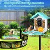 Smart Bird Feeder with Camera, Ai Identify Birds Watching Camera
