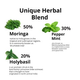 Akshit 40 Immune Booster Tea Bags, Organic Moringa Blend, with Peppermint and Holy Basil Tea, Caffeine Free, Moringa Leaf Tea Blend.