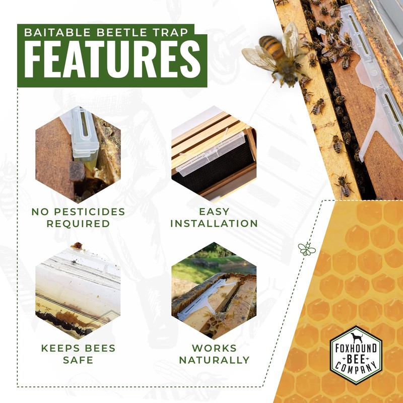 New Reusable Extra Long Beetle Trap with Completely Removable Top