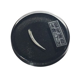 KIN-HEBI Real Venomous Habu Snake Fang, Extremely Rare Items That are Difficult to Collect, Traditional Japanese Talisman to Repel The Devil, Good Luck Pocket Token, 1.25”