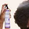 Carol's Daughter Black Vanilla Leave In Conditioner for Curly, Wavy