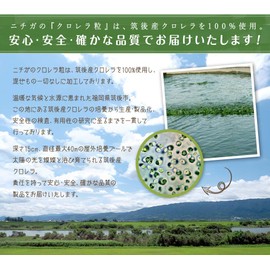 純国産 クロレラ 100％ 粒 100g （約500粒） 無添加 スーパーフード 1粒200ｍｇ [04] NICHIGA(ニチガ) 国産クロレラだけをそのまま粒状